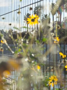 Los Angeles River photographed for Le Monde's M Magazine.