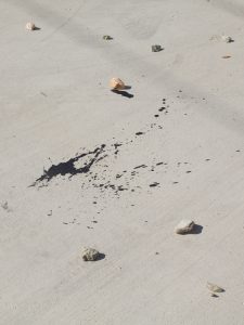 Los Angeles River photographed for Le Monde's M Magazine.