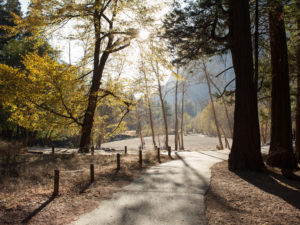 Photographs of San Francisco City's water supply traveling from San Francisco to Hetch Hetchy Resevour, Yosemite National Park for The Verge Magazine.