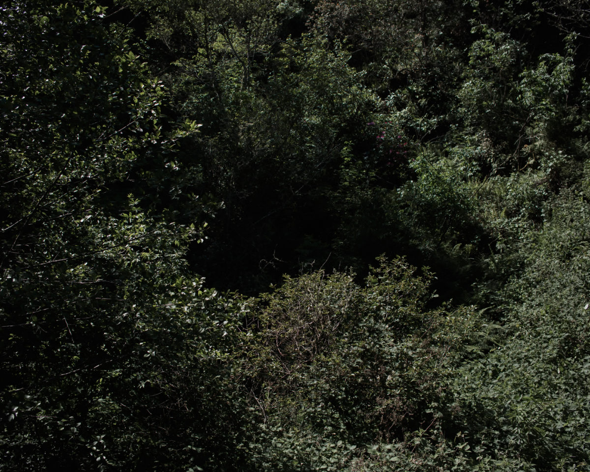 Ft. Bragg, California photographed for California Sunday Magazine's Aaron Bassler story.