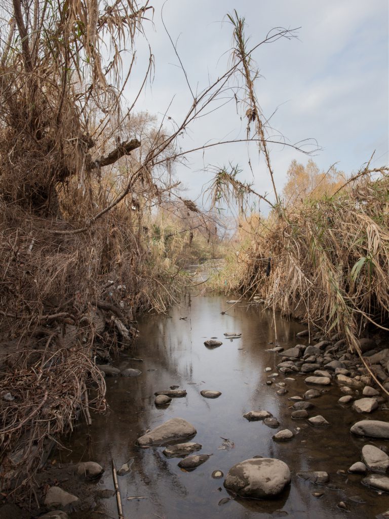 Brush by the LA River