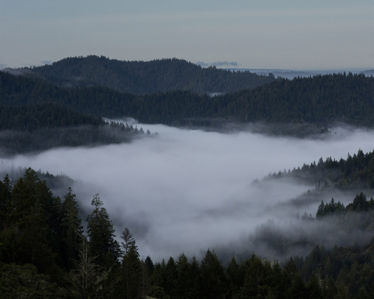 Ft. Bragg, California photographed for California Sunday Magazine's Aaron Bassler story.