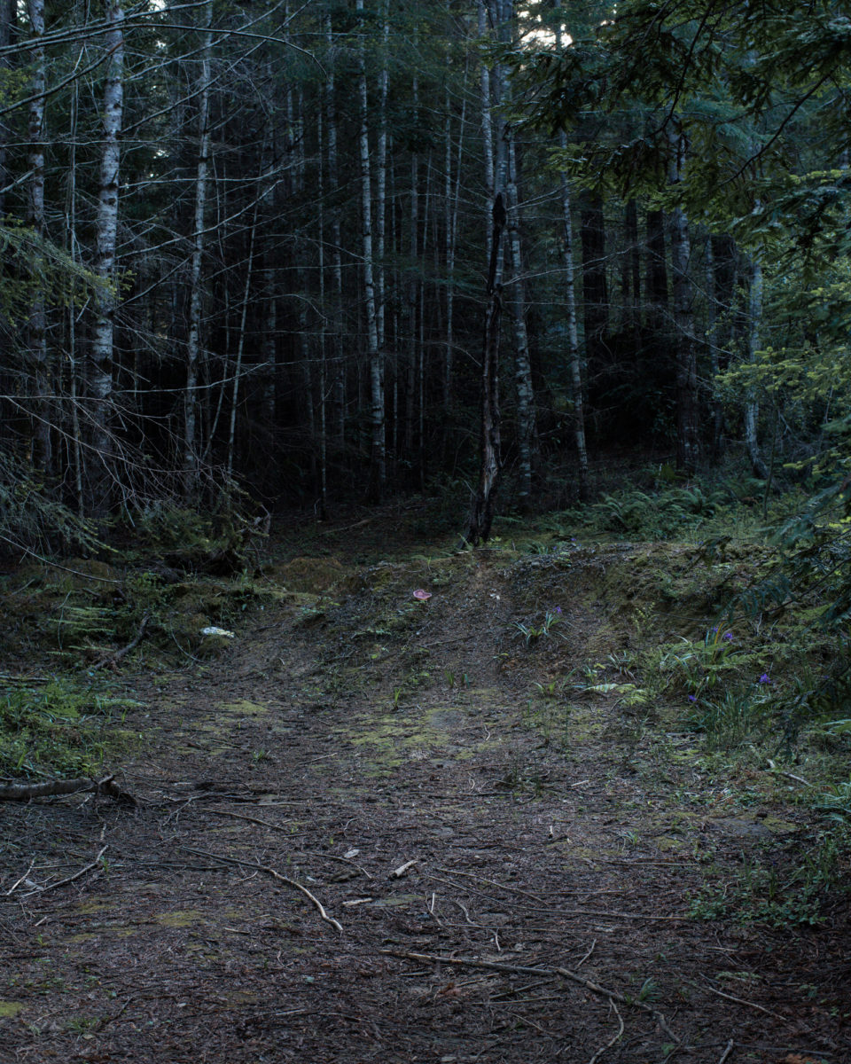Ft. Bragg, California photographed for California Sunday Magazine's Aaron Bassler story.