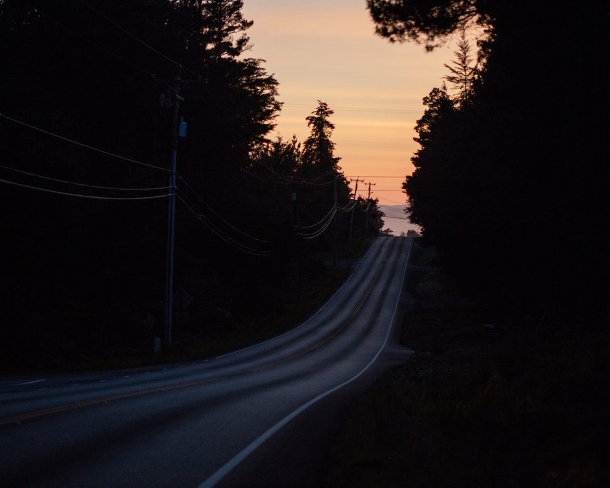 Ft. Bragg, California photographed for California Sunday Magazine's Aaron Bassler story.
