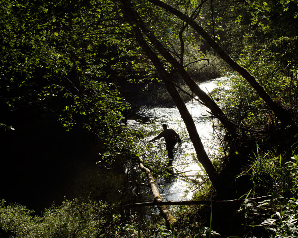 Ft. Bragg, California photographed for California Sunday Magazine's Aaron Bassler story.