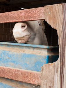 Los Angeles River photographed for Le Monde's M Magazine.