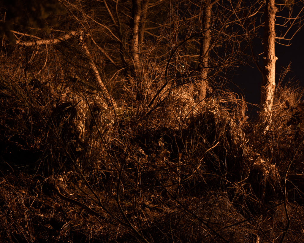 Ft. Bragg, California photographed for California Sunday Magazine's Aaron Bassler story.