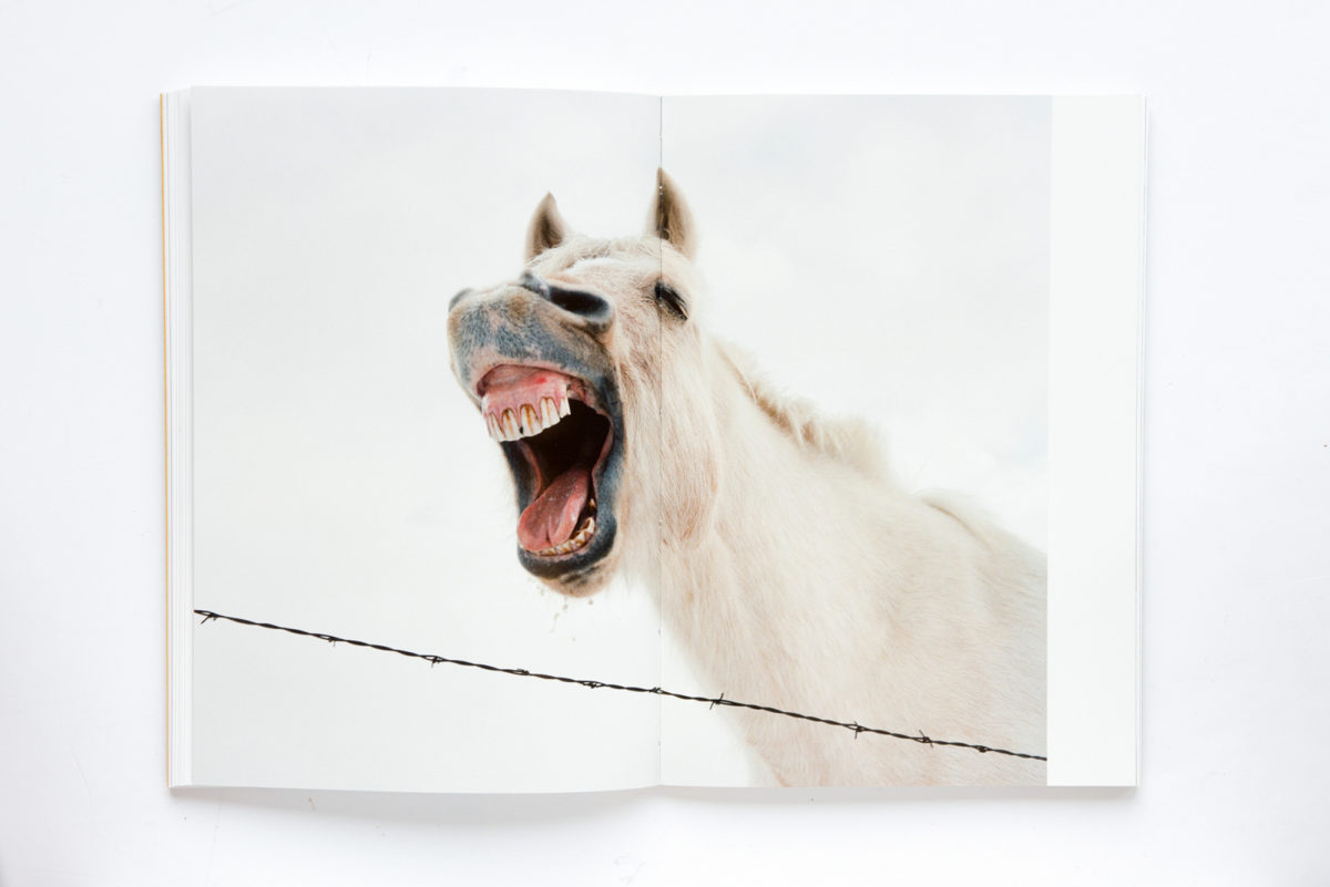 Begin Anywhere book, Sparkstone chapter spread