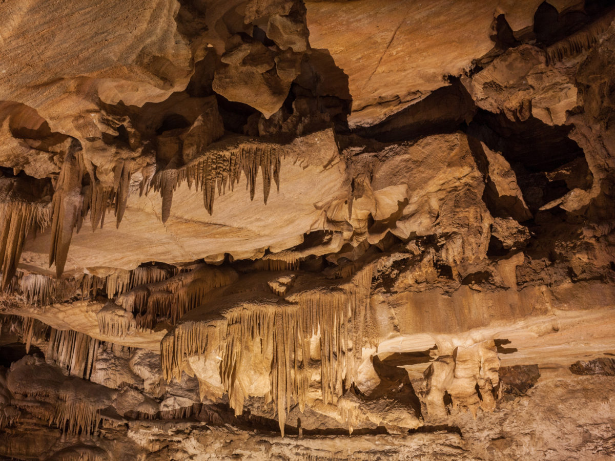 Photographs made in Sequoia National Park for The National magazine portfolio on Amtrak’s San Joaquins route.