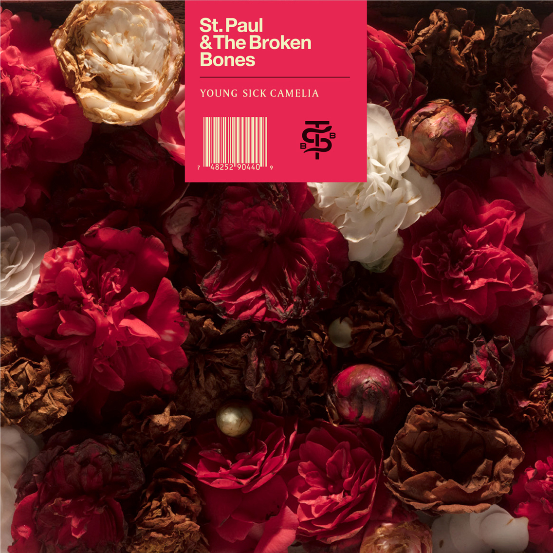 Young Sick Camellia record sleeve, art by McNair Evans