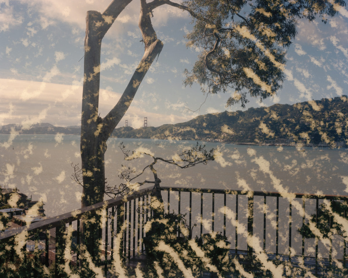 Nigel Poor's 2013 studio